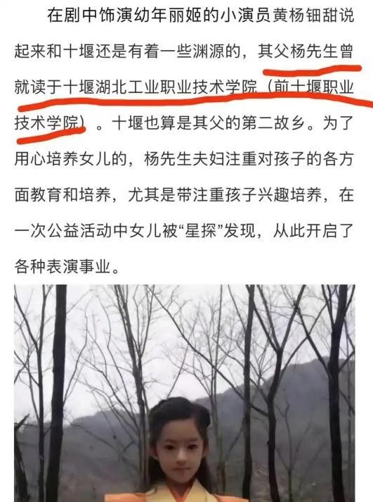 ！“天价耳环”不了了之黄杨钿甜星光灿烂？冰球突破豪华版app已拿三家名校合格证(图16)