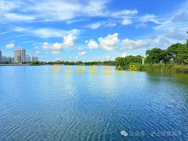 营销中心)网站-招商林屿湖畔销售中心冰球突破技巧2025招商林屿湖畔((图28)