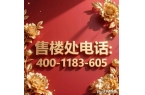 售楼处招商林屿湖畔发布：开启诗意栖居冰球